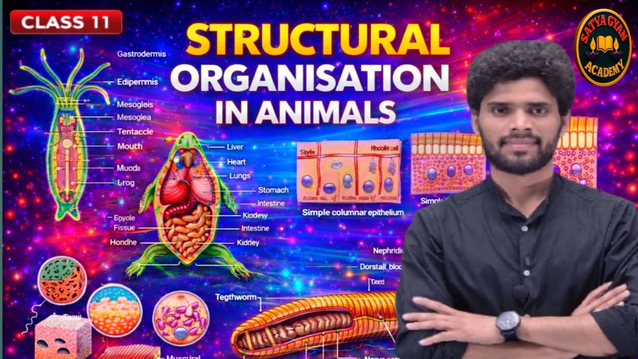 Structural Organisation in animals tissue I CBSE I NCERT I Neet I ...