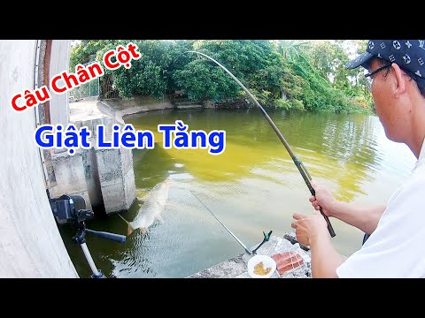 Video Câu Cá Sông | Câu Cửa Cống Cá Rất Nhiều - youtube