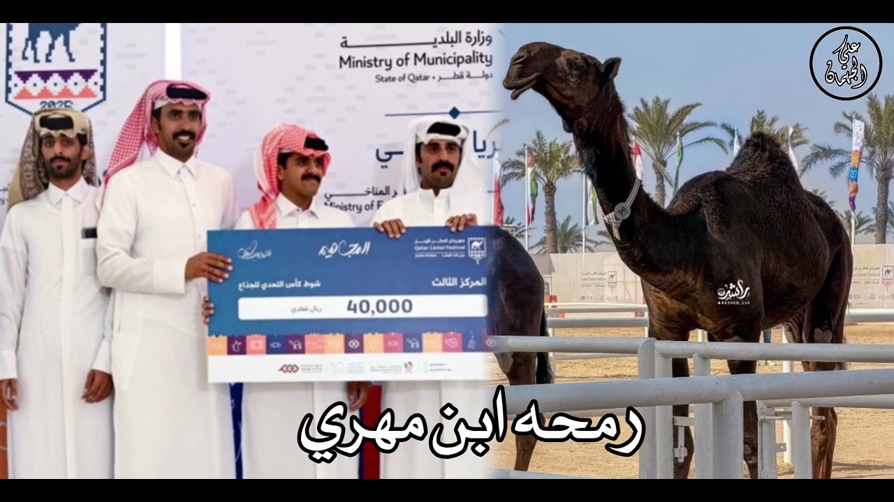 شيلة رمحه ابن مهري // كلمات:: عبدالهادي القنيفذ ||  اداء : جفران بن هضبان