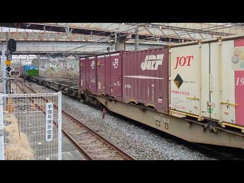 JR貨物EF210-113号機73列車　松戸駅を通過するシーン。2025 . 3/11(火)
