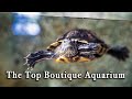 Boutique Aquarium at The Top Penang Malaysia【Full Tour in 4k】