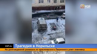 Семейная поножовщина с голосами в голове произошла в Норильске