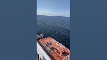 Thumbnail of MV Blue Puttees leaving port aux basques