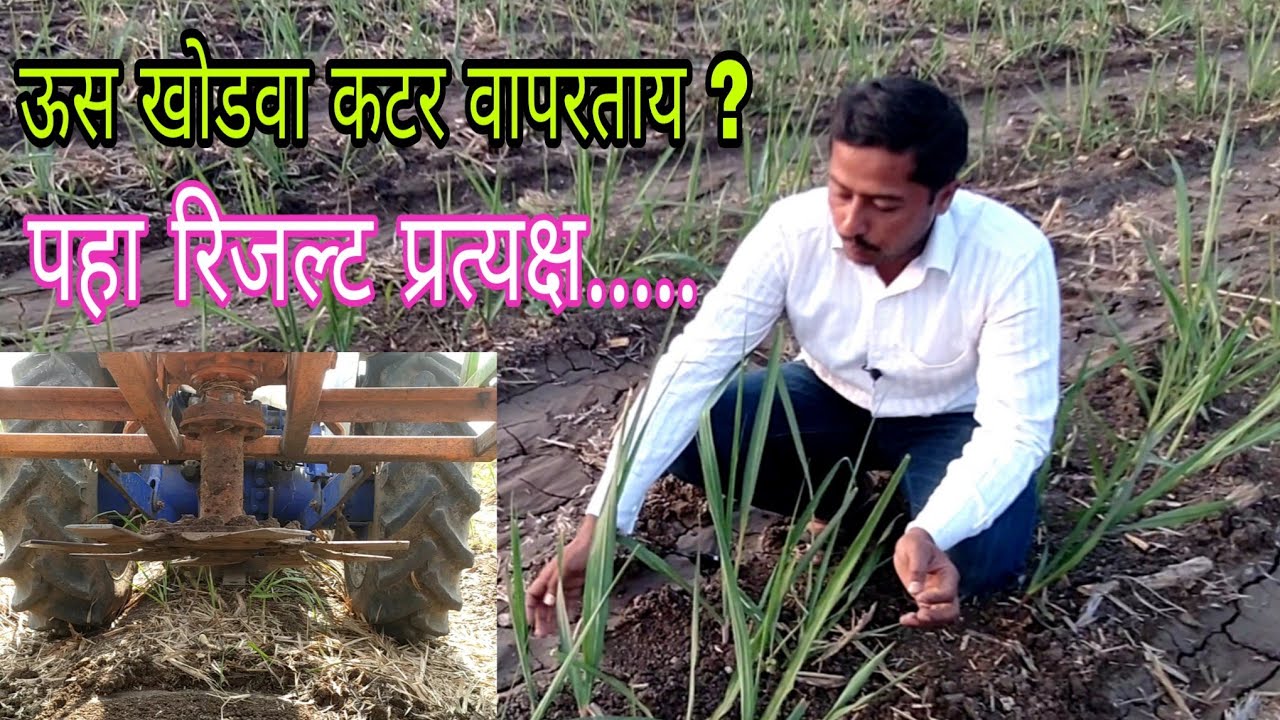 ऊस खोडवा कटर वापरताय?.. तर पहा प्रत्यक्ष रिजल्ट..
