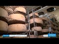 Les Producteurs De Fromages De Soule Doivent Moderniser Leur Cave D Affinage mp3