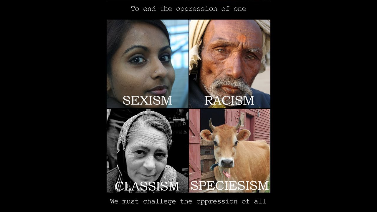 Specism RACISM ~ SEXISM ~ SPECIESISM (Human & Animal Rights) Civil LGBTQ Women ...