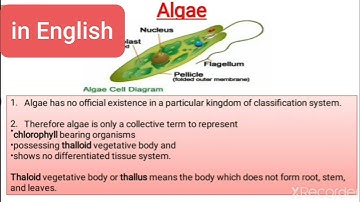 Algae ( General Characteristics, Thallus structure, reproduction, classification and economic imp. )