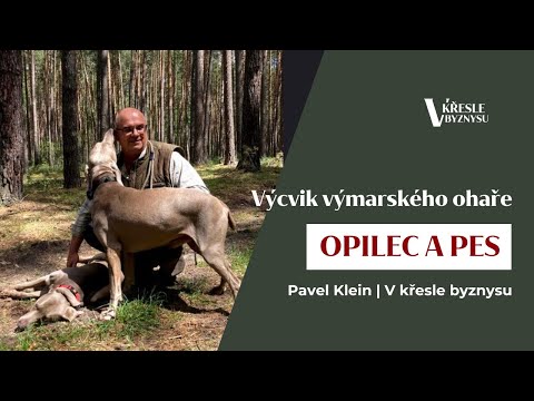 Video: Ověřují se schopnosti útoků?