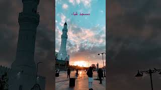 مسجد قباء | يا نبي سلام عليك | ماهر زين | #ماهر_زين #maherzain #رمضان #رمضان_كريم #المدينة_المنورة