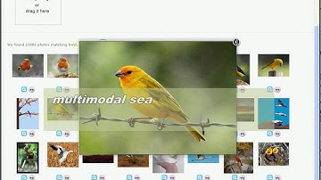 SIRE: A Social Image Retrieval Engine