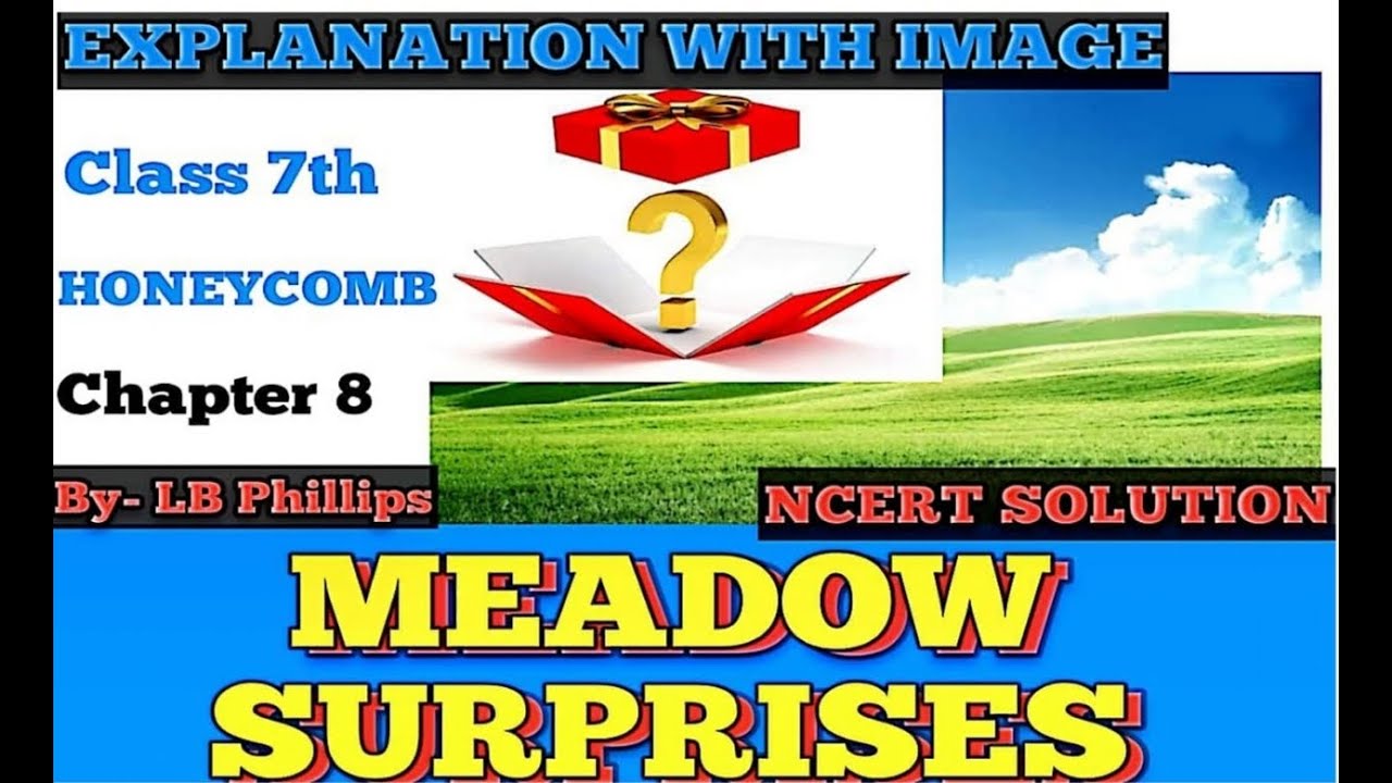 LINE BY LINE EXPLANATION MEADOW SURPRISES NCERT SOLUTION HINDI