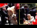 ¡PROTOCOLO, AFUERA! JAVIER MILEI ACARICIÓ A UN PERRO ANTES DE ENTRAR A LA CASA ROSADA