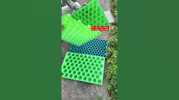 Khay bầu ươm cây giống , ươm hạt giống , ươm rau , ươm ớt , ươm ngô tiện lợi năng suất cao