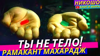 ТЫ Не Просто Тело! Узнай КТО ТЫ И НА ЧТО СПОСОБЕН! Открой Свою Суперсилу!| Никошо, Рамакант Махарадж