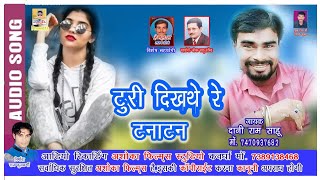 टुरी दिखथे रे टना टन/Turi Dikhathe Tana Tan/Dani Ram Sahu /