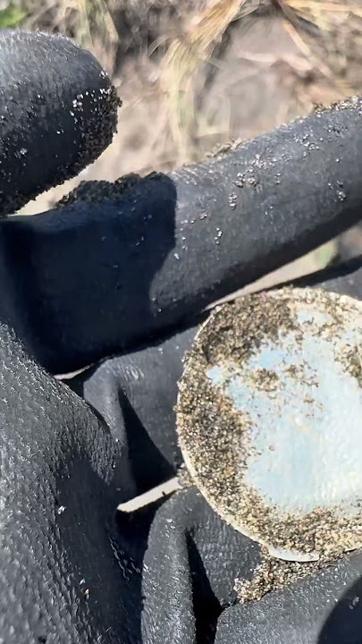 Sound so good #environmentalcleanup #metaldetecting