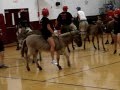 Donkey basketball i