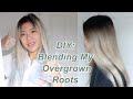 Fixing My Roots at home | DIY shadow root