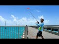 I couldnt believe i caught this fish florida keys bridge fishing