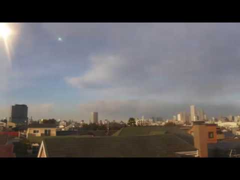 デカイ鳥が一瞬（笑）Cloud shinjuku20180209