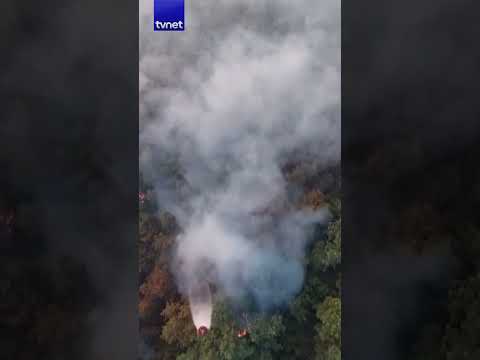 Kemer'de çıkan orman yangınına müdahale ediliyor #antalya #yangın #shorts