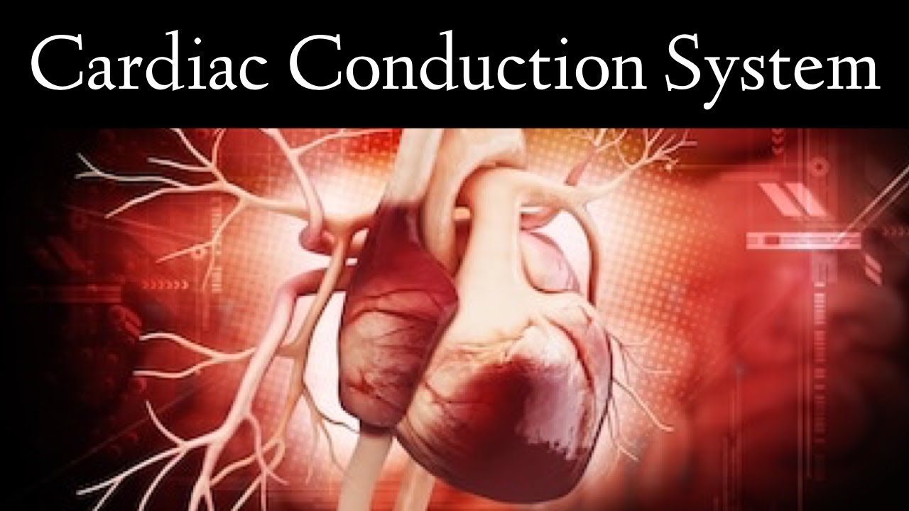 intrinsic conduction system definition