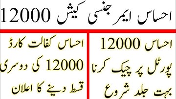 Check Ehsas Program 12000 On Internet Portal || 8171 Ehsas Kafalat Card 12000 check karen | 8171 SMS
