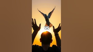 Luke 23:34 | Jesus’ Example of Forgiveness | Grace Gospel Medias #daily #dailybibleverse #bible #god