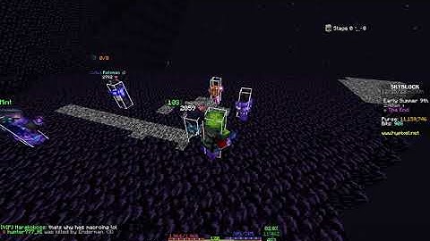 Guy macroing obsidian gets caught and leaves. (Hypixel Skyblock)