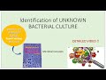 Identification of unknown bacterial culture  detailed with approach  use of bergeys manual