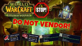 Famous TBC Tips: DO NOT Vendor These Items While Leveling! Passive Gold Making! Profile