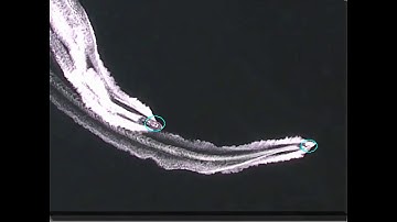 Detection   Histogram Anomaly