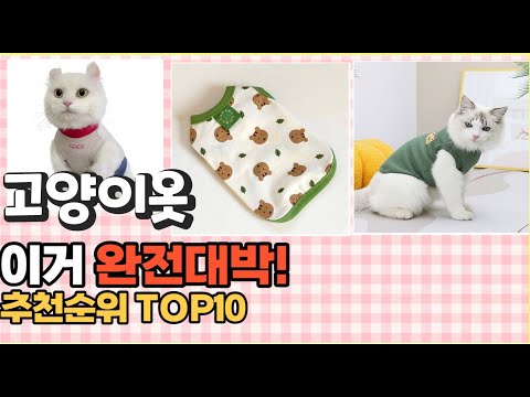 2023년 이거 강력추천! 고양이옷 가격,후기,평점 비교 추천순위 top10