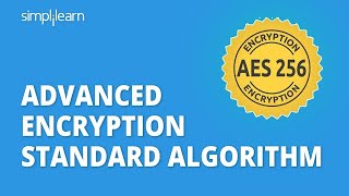 AES - Advanced Encryption Standard Algorithm In Cryptography | AES Explained | Simplilearn screenshot 2