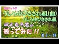 【うしろゆびさされ組】歌ってみた!!第11弾 城之内早苗  #城之内早苗 #おニャン子クラブ #演歌歌手 #昭和の名曲 #うしろゆびさされ組