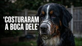 Dono Costurou a Boca Dele com Arame pra Não Latir