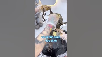 Nhuộm màu nâu tây trên nền tóc bóc đỏ