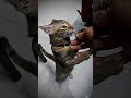 #cat #youtubeshorts #ytshorts #animals #cutecat #tranding #funny #trandingshorts #funnycats #kitten