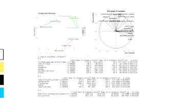 Interpretando los resultados del clustering jerárquico aplicado al PCA #shorts