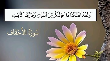 سورة الأحقاف (21-35) للقارئ سعد الغامدي