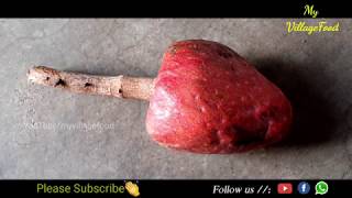 RED CUSTARD APPLE, Red Custard Apple Red Cherimoya Roja fruitsnrootz, Rama Sitha palam,