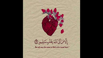 نور الهداية زار قلبي 