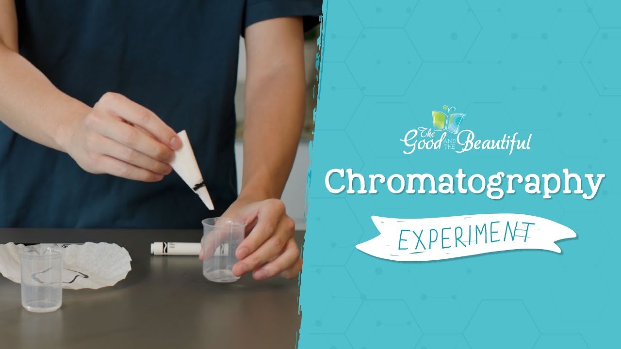 Chromatography Experiment Chemistry The Good and the Beautiful