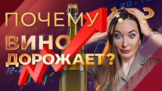 Сколько стоит бутылка вина? Из чего складывается цена? Считаем вместе с виноделом!