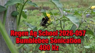 Regen Ag School 2026-057 | Bumblebee Sonication (400 Hz) & September Farm Update