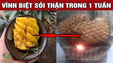 Cách Chữa Sỏi Thận Bằng Quả Dứa, Sau 7 Ngày ĐÙN Sạch Sỏi Thận (Rất Hiệu Quả)