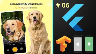 Build Dog Breed Identifier App from Scratch - Flutter iOS & Android Ai Machine Learning Course 2022