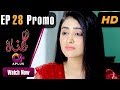 Watch Gunnah - Episode 28 Promo | Aplus Dramas | Sara Elahi, Shamoon Abbasi, Asad Malik | Pakistani Drama Online In HD