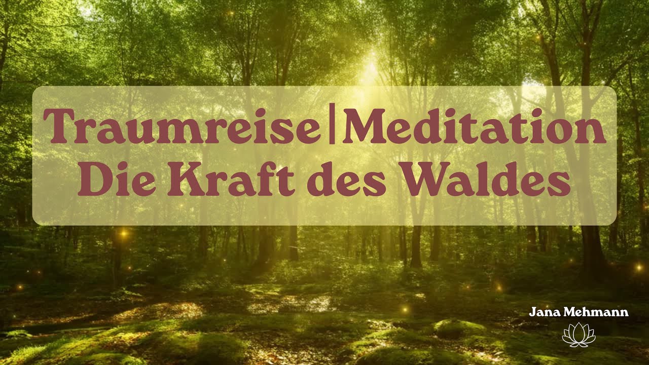 🌿 Die Kraft des Waldes – Traumreise in den Zauberwald | Tiefe Entspannung & erholsamer Schlaf
