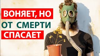 Могучее лекарство, о котором молчала медицина в СССР